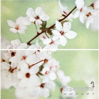 Плитка настенная декор 59,4x60 Opoczno Early Spring Panno Flower