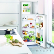 Холодильники з верхньою морозильною камерою